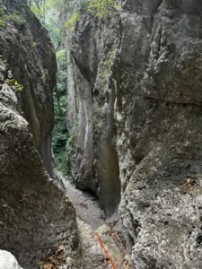 0a734183 55e6 4cb0 b87b 346c29a81a87 225x300