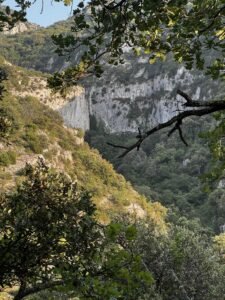 9b7919f8 f39b 45f4 b4f7 a5d53e764299 225x300