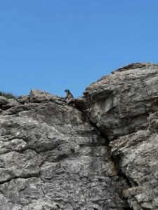 a7b4c3ad 29e2 4561 90c1 5ce3bc02800c 225x300