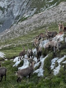 b401408d 9dc5 454e 823e 688a6a2a843e 225x300