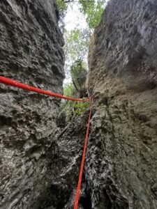 b89846bc 0234 474b a0b8 dec3eea7aeea 1 225x300