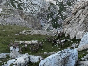 dc0ed1d2 a4c3 44b0 af90 da75526b59d9 300x225