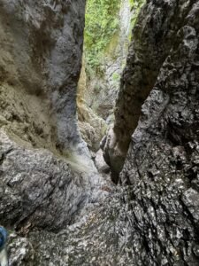 e9b26fbd 4d72 48f4 856a c0df1e75e7e2 1 225x300