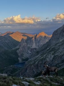 ea80908f 1625 4611 a38d 36a3ec2eb21b 1 225x300