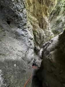 eba00fc6 6c84 43e0 bcb7 509dfc4750c7 1 225x300