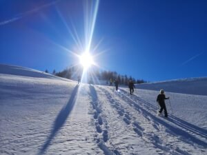 IMG 20230202 1450161 1 300x225