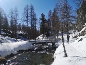 IMG 20230404 101909 300x225