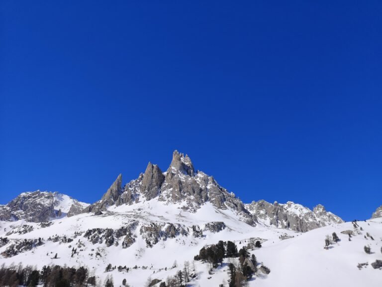 IMG 20230404 111614 768x576
