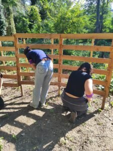 IMG 20250925 154119 225x300