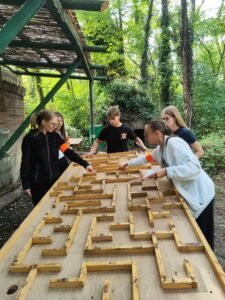 IMG 20250925 160315 1 225x300