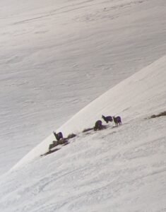 PXL 20240207 124647035.MP  235x300