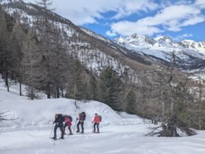 PXL 20250325 101433262 300x225