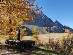 WhatsApp Image 2025 11 14 at 12.08.48 300x225