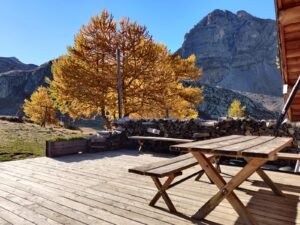 WhatsApp Image 2025 11 14 at 12.09.52 300x225