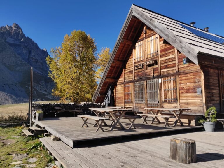 WhatsApp Image 2025 11 14 at 12.11.09 768x576