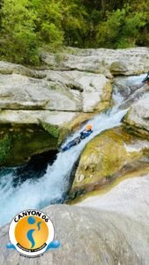 Tob wallibie 1 169x300