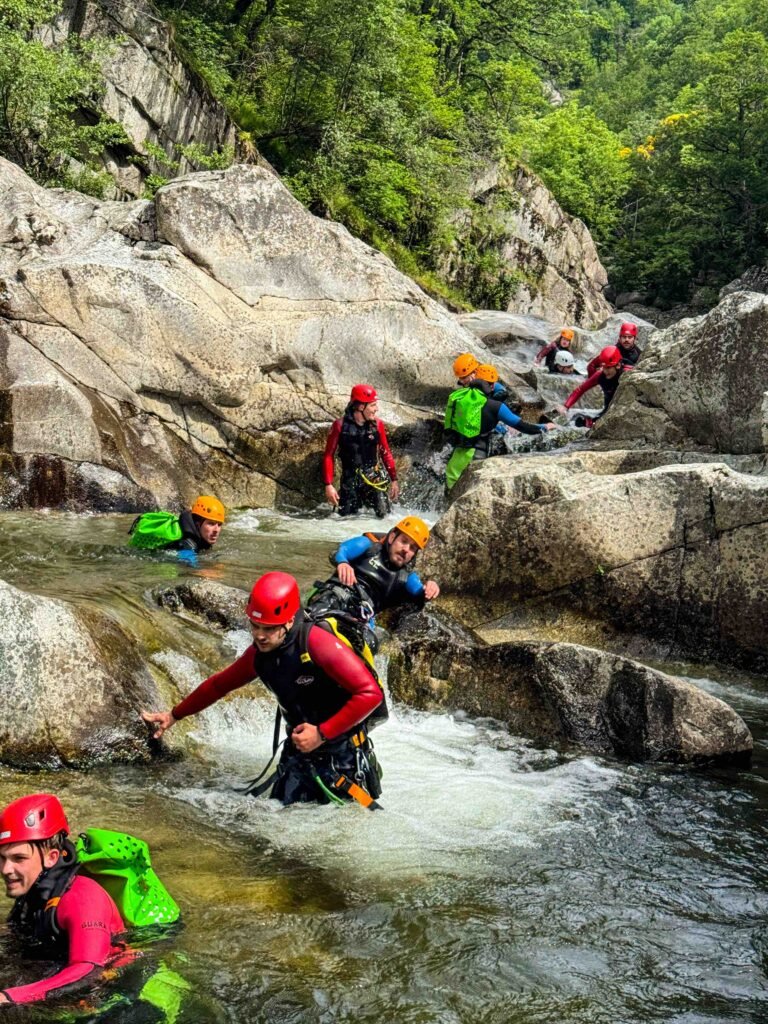 IMG 1451 OPT 768x1024