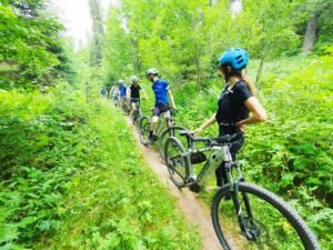 IMG 20250706 110731 300x225