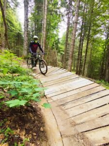 IMG 20250729 154849 1 225x300