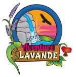 Avatar de l’utilisateur/utilisatrice