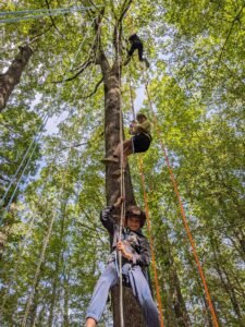 les sites de grimpe darbre grimpe darbre monts du lyonnais 4 225x300