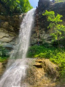 715C2759 0B8B 40CF 90E6 9CDD96B6945E 600x800 1 1 225x300