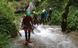 ARIF34592 1024x627 1 1 300x184