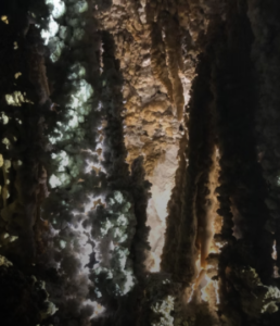 Capture decran 2026 02 15 152424 2 258x300