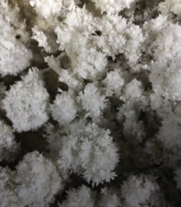 Capture decran 2026 02 15 152442 263x300