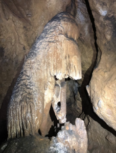 Capture decran 2026 02 15 152507 3 227x300