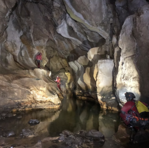 Capture decran 2026 02 15 152524 1 300x298