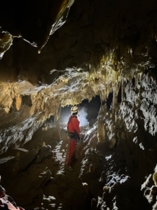 Capture decran 2026 02 15 152544 1 225x300