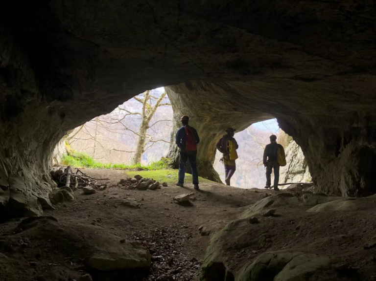 Capture decran 2026 02 15 152600 2 768x575