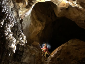 Capture decran 2026 02 15 153526 1 300x224