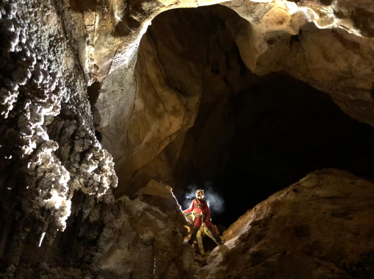 Capture decran 2026 02 15 153526 1 768x574