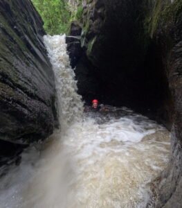 GPTempDownload 7 263x300