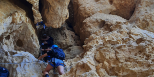 Capture decran 2026 03 09 181738 300x151