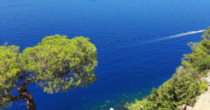 Capture decran 2026 03 09 181901 300x158