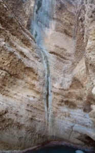 Capture decran 2026 03 09 183026 186x300