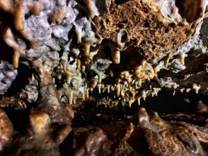Un plafond couvert de stalactites dans la grotte de Sisteron 300x225