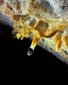 Une petite goutte deau tombe dune stalactite qui sest formee dans une grotte de Sisteron 238x300