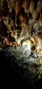 des petites stalactites au plafond dune cavite naturelle a Sisteron 142x300