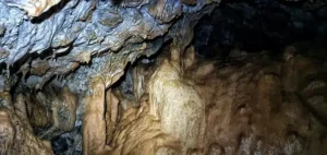 nombreuses stalagmites en speleologie a sisteron 300x142