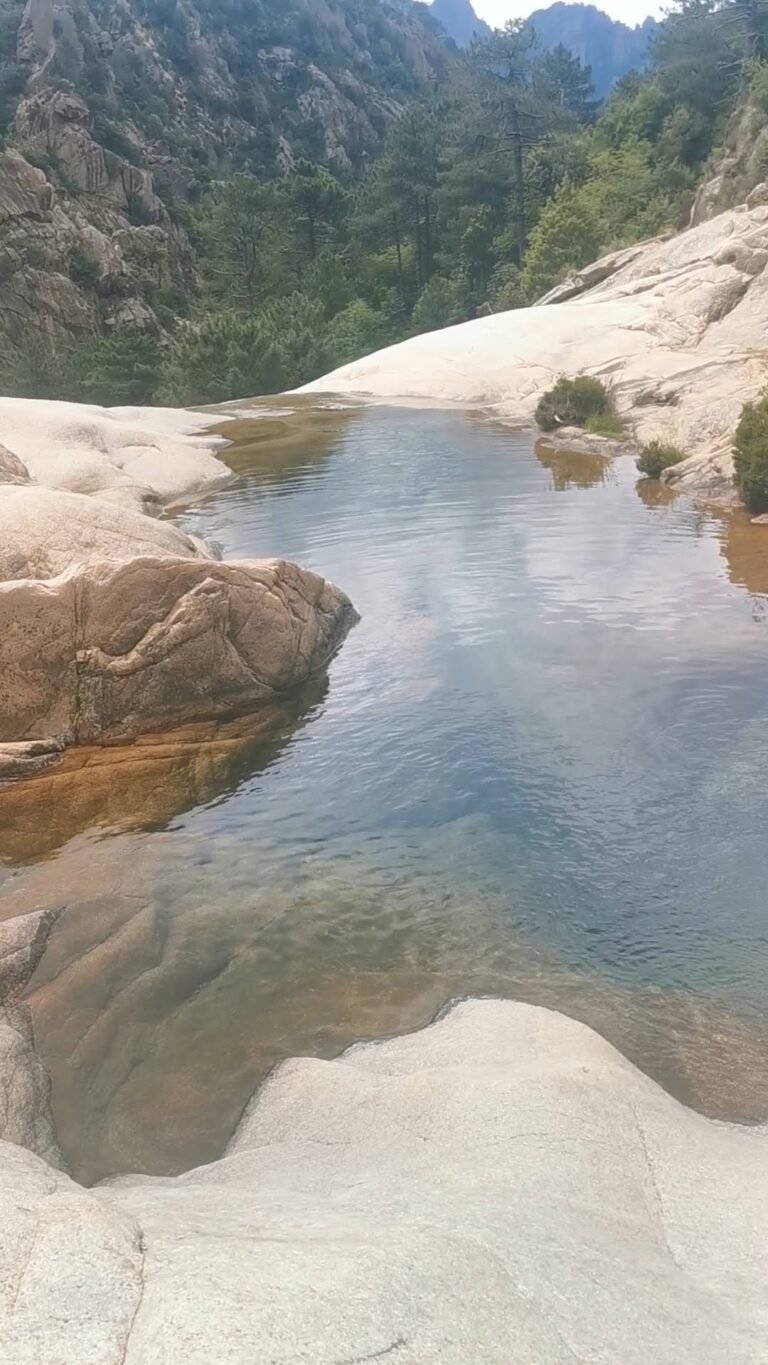 6977 768x1365