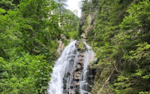 canyon decouverte barberine presentation 768x480 1 300x188