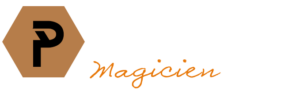 LOGO Paul PICHARD Couleur Texte Banniere 300x91
