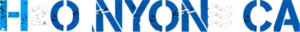 logo 300x32