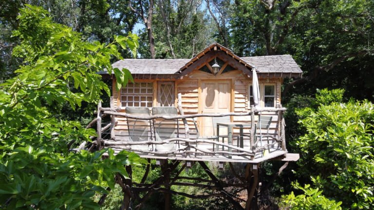 cabane de face 1 1 1 768x432