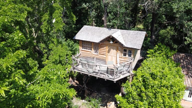 cabane scaled 1 768x432